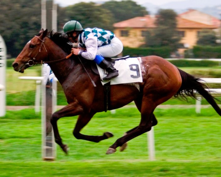 Sport – Sport – Duccio D'Apice fotografo