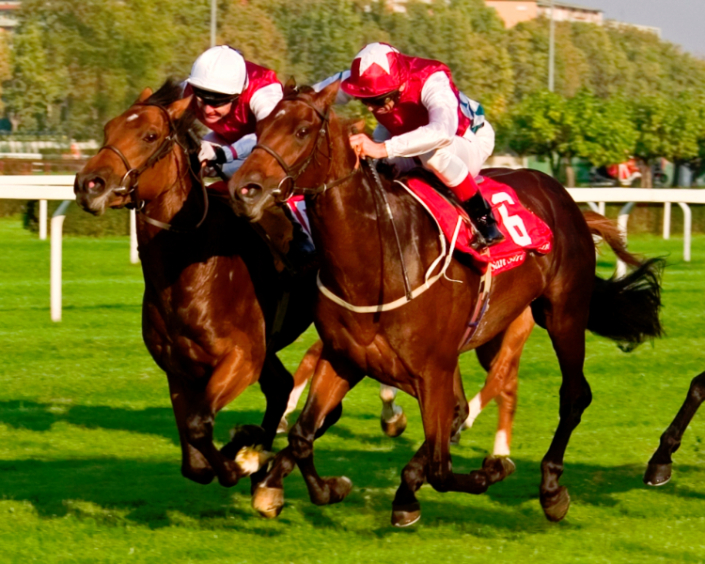 Sport – Sport – Duccio D'Apice fotografo